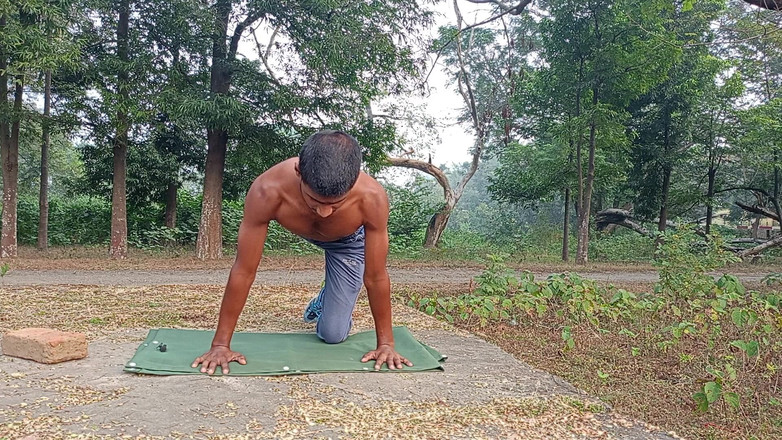 LinearOrnament35: Sexe, entraînement, temps de sexe, longue tablette