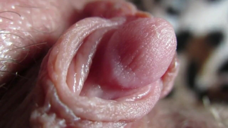 Cuteblonde666: Big clit compilation 2