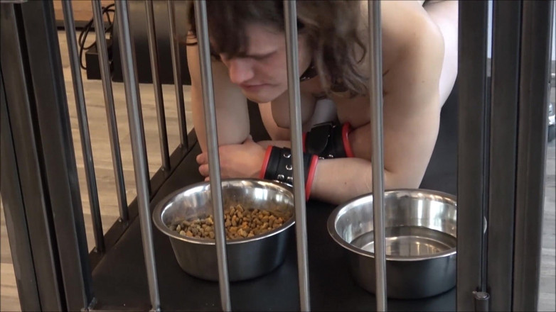 Sex and BDSM Slaves by her Master: 24/7 Cage Keeping of the Slave in Everyday Life