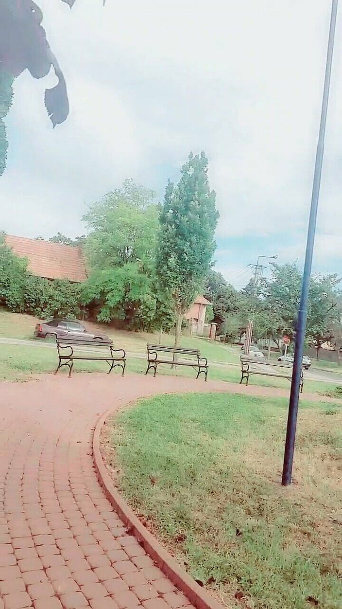 Slutboyben: Slutboyben Cam4 Nimpho Cock Cumzzz w Parku