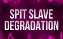Femdom Affirmations: Spit Slave Degradation