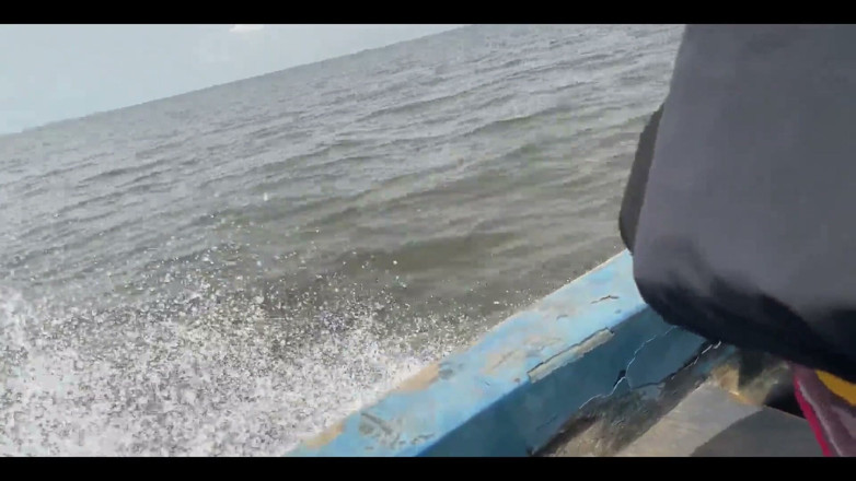 King Sasha's hub: A Journey Through the Sea