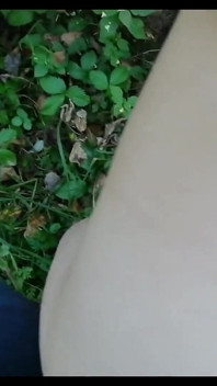 The Forest Nymph