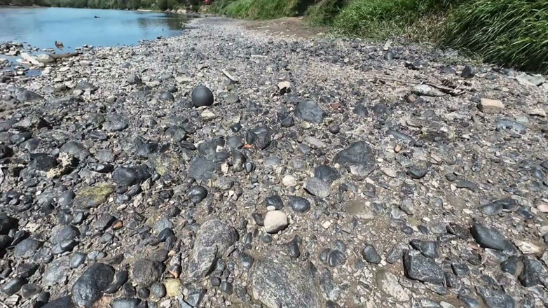 Jhodez1: Passeggiata nella natura a sorpresa con un ebano che fa...