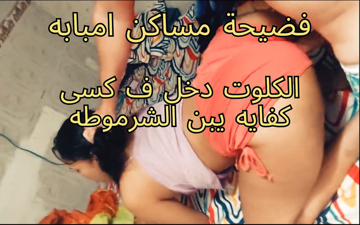 Egyptian taboo clan: Egypt je děvka, za úsvitu, ach, přísahám, Ahmed