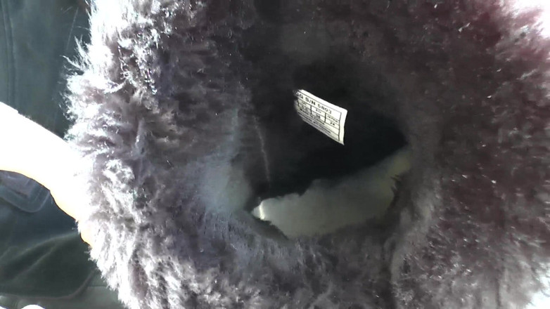 Lady Victoria Valente: 극심한 악취 나는 털 부츠 발! 부츠 냄새 앤 풋에서, 레이디 빅토리아 발렌테