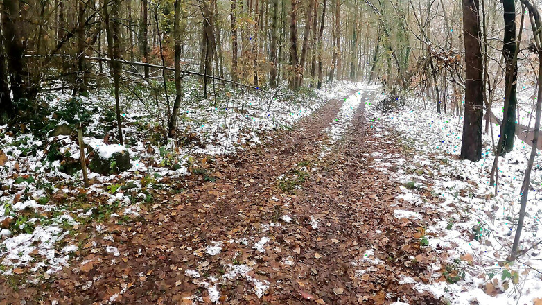 Bouncy Tits Action: Menghancurkan payudaranya saat mendaki di salju