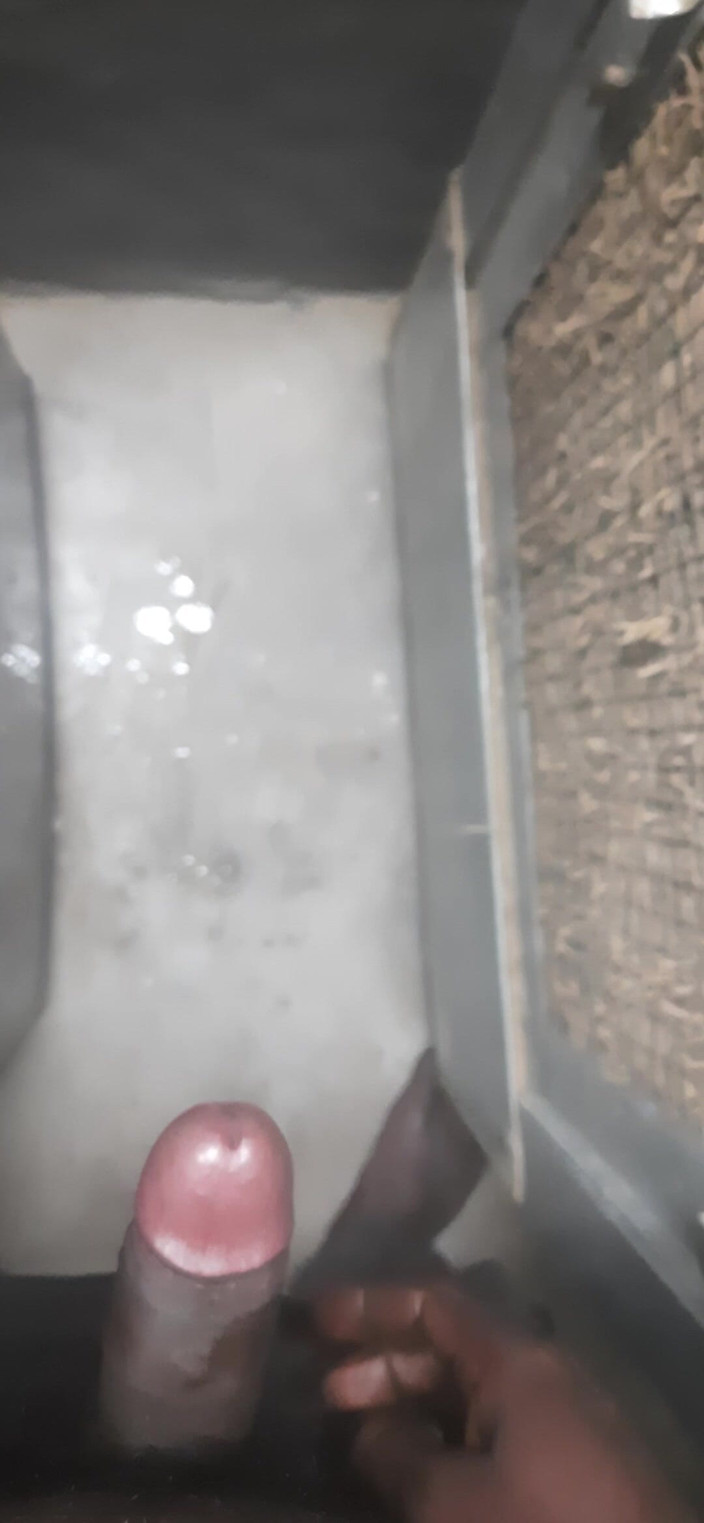 JoyfulPaw60: Hoy me he masturbado.