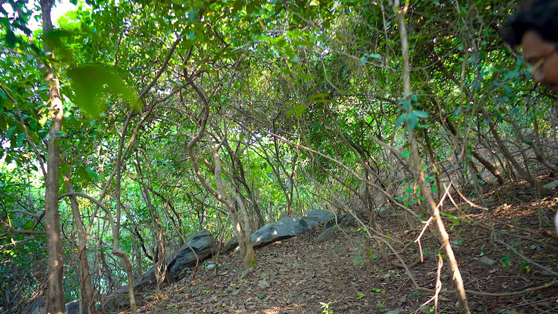 BabyTina2: जंगल में दोस्त की प्रेमिका के साथ हार्डकोर सेक्स किया