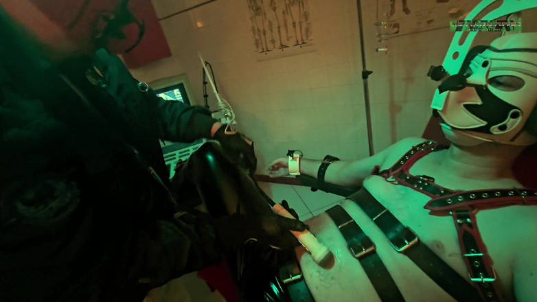 The Playing Puppies: İkinci Muayenede Yavru Köpekleri Oynuyor