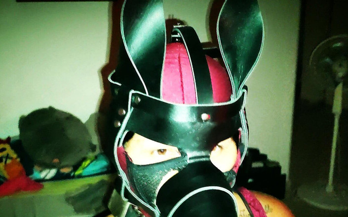 PABLO N3GROBAR: Selamat hari jadi 2 submisif BDSM saya... Penuh 4k