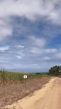 Wild Sex in with Dreadhot on the Most Paradisiacal Beach in Brazil