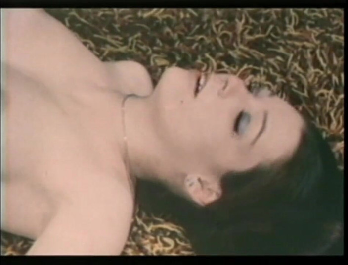 XTime Vod: Vintage hairy pussy fucking in the garden