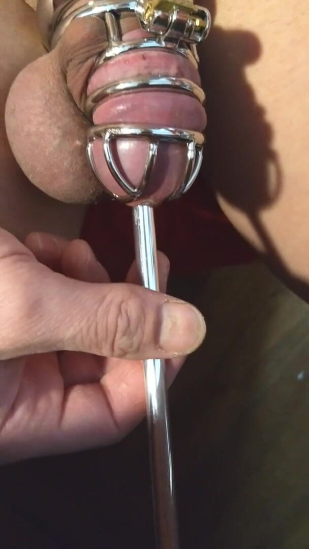 Lycra Shanks: Sissy sound