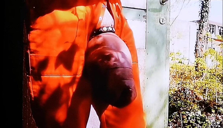 Monster_Meat_: Sega e sporgente all'aperto