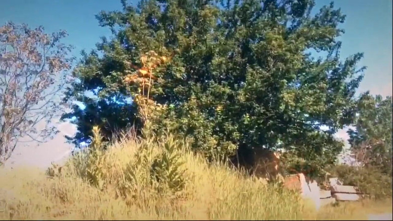 The queen of Satan: Mostgo di nuovo le mie tette in natura