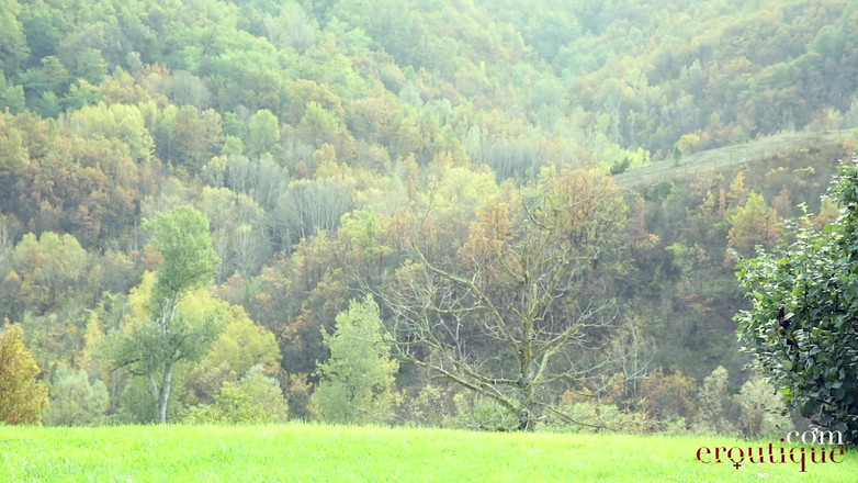 Eroutique: Victoria cucciolo orgasmo all'aperto