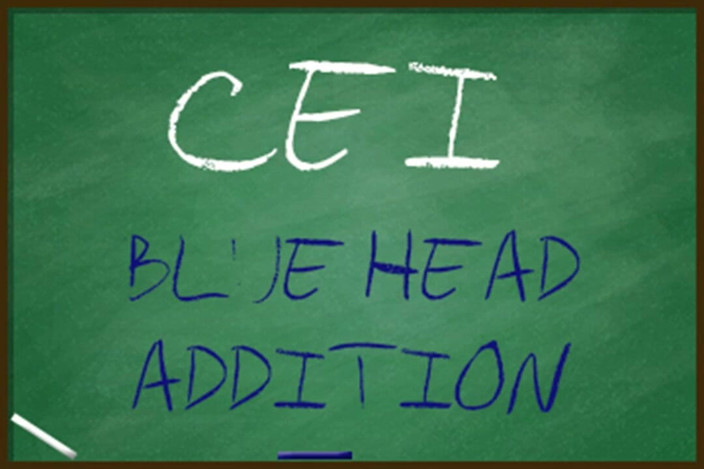 Campsissyboi: AUDIO ONLY - CEI blue head addition