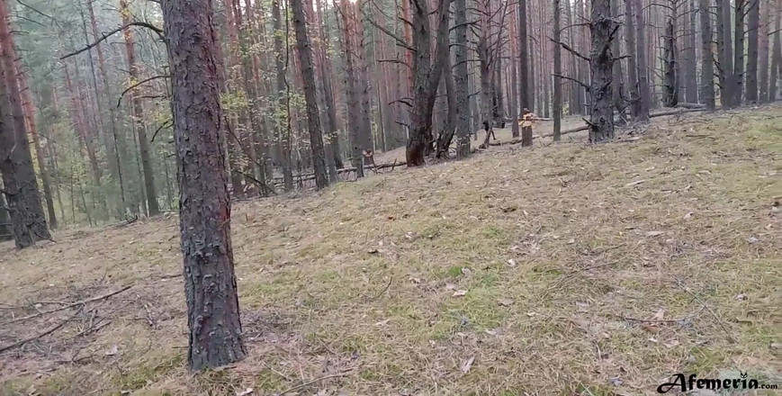 Afemeria: Nena cachonda atrapada en el bosque y follada a lo...