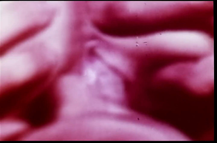 Close Encounter Vintage: Vintage porn retro erotic theatre - dead heat