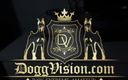 DoggVision: 1st Time DP and Double Vaginal for Skinny MILF