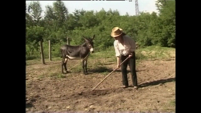 XTime Vod: Rosalia Catanese - exkluzivní Soft Film