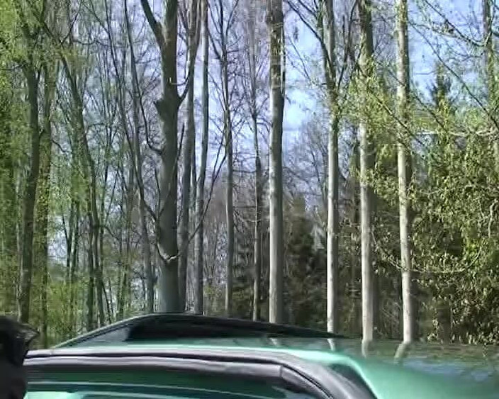 Porno kino: काले बाल वाली जर्मन बेब प्रकृति में लंड की सवारी करती है