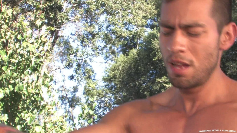 Raging Stallion: Giants, Part 2