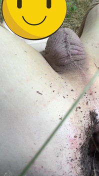 Outdoor anal insertion