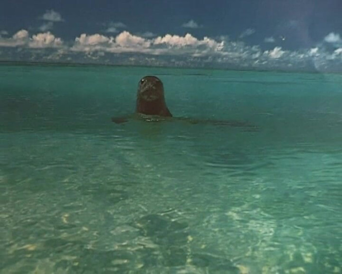 BB Video - Old School: German Amateur Teen Babe Blonde Fucked #10