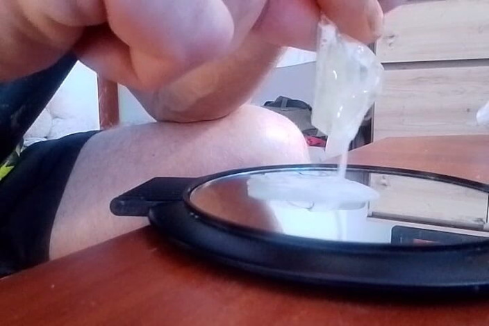 AukasZ1980: Mèo con uống sữa