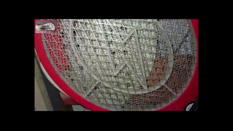 Casal Gresopio BDSM: 崇拜我主人的脚 07