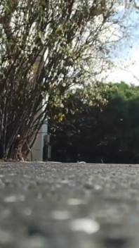 Watch Me Strut Away and Sashay Right Back Into Your Dreams in This Exclusive, Blink-and-you'll-miss-it Clip