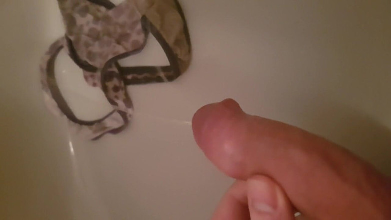 Pcg_tp666: Kontolku yang lagi sange kencing di celana dalam kotor sahabatku