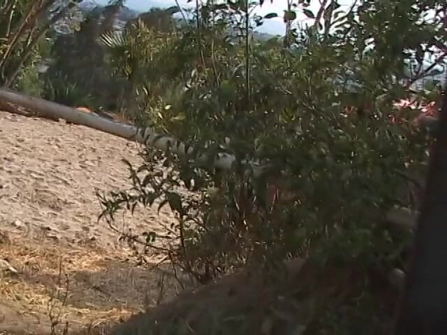 Sex Karma: Cowgirls fucking nasty cowboy outdoor