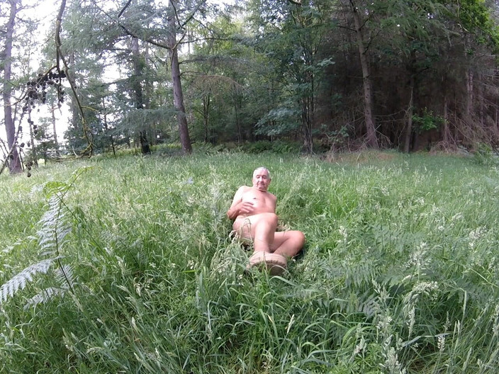 Andy: Plimbare 35 2025