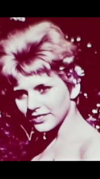 Vintage Porn Retro Erotic Theatre - Oceanside Vixens