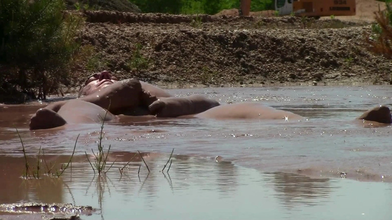 MuddyChubby: Deep, Creamy Brown Mud Bath in a Sand Pit