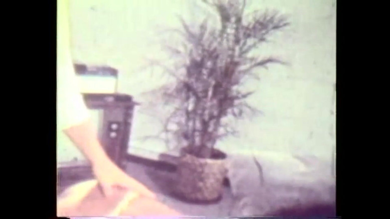 Vintage Usa: Amante americano!! - (storia # 01)