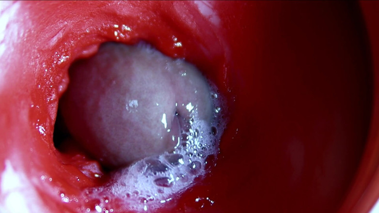 SEXY_GUYBEST: एक मीठे छेद में शुक्राणु की बहुत करीब विशाल धाराएं asmr गीली स्कॉल्च