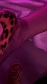 30 leopar yüksek topuklu ve klasik klasik naylon çorap