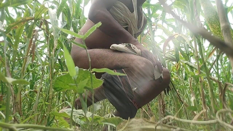 Salonibhabhi: Big Black Hawking in the Cornfield