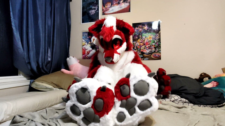 PawgrammerSocks: et montre ses footpaws dans une combinaison complète