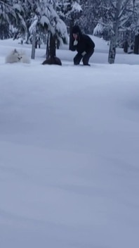 What Do You Do When It Snows
