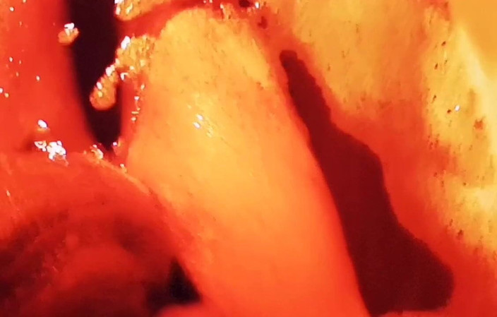 Monster_Meat_: मेरे साथ स्नान करें और मुझे साबुन से भरें ...