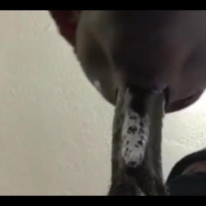 MS Perfect Lips: Super Sloppy Blowjob with Perfect Lips