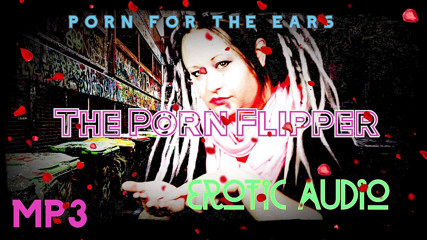 Campsissyboi: AUDIO ONLY - The porn flipper