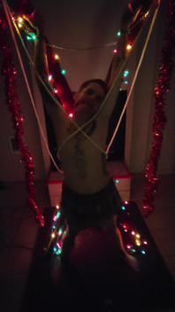 Holiday BDSM