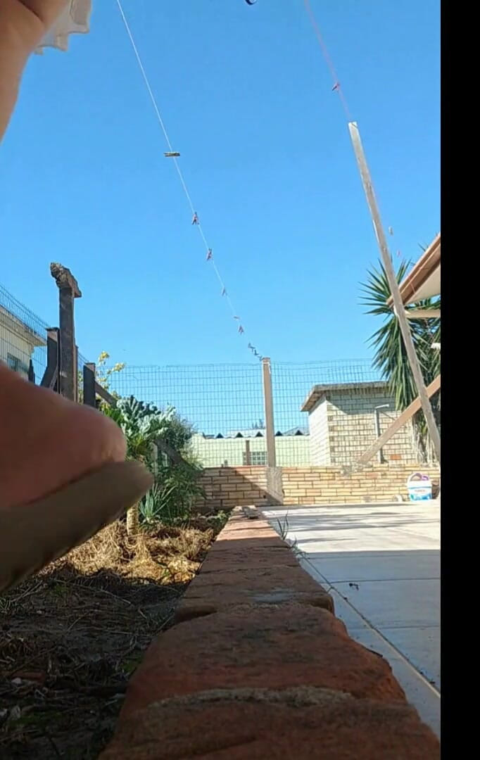 Priscila: Üvey annem bahçede külotsuz gösteriş yapıyor