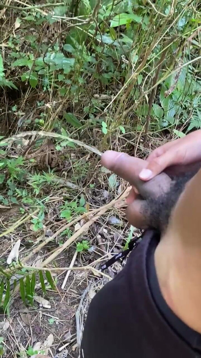 Vida Noite: Patikalarda tutkuyla işedi